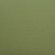 Rio Barstool (Set of 2) Green