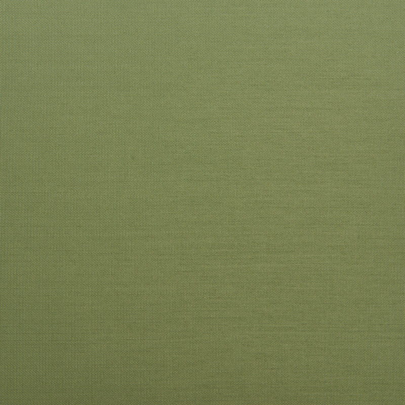 Rio Barstool (Set of 2) Green