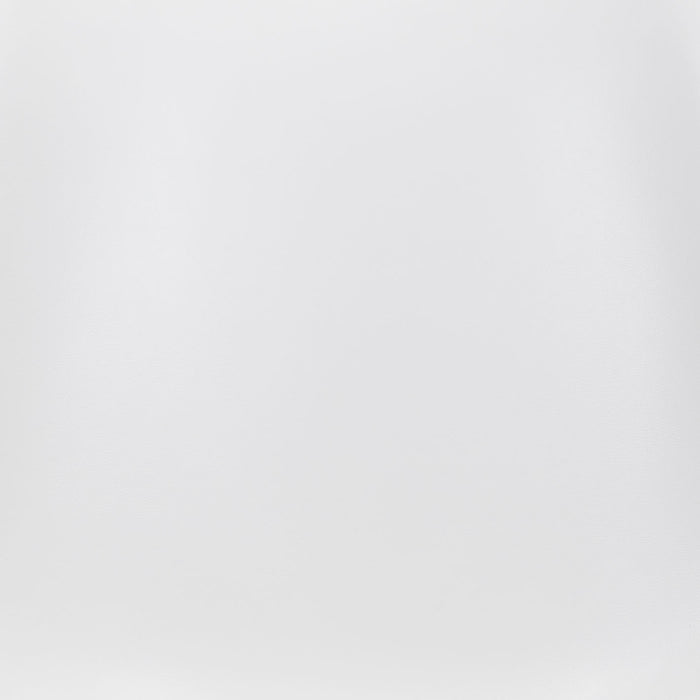 Ace Dining Chair (Set of 2) White & Silver
