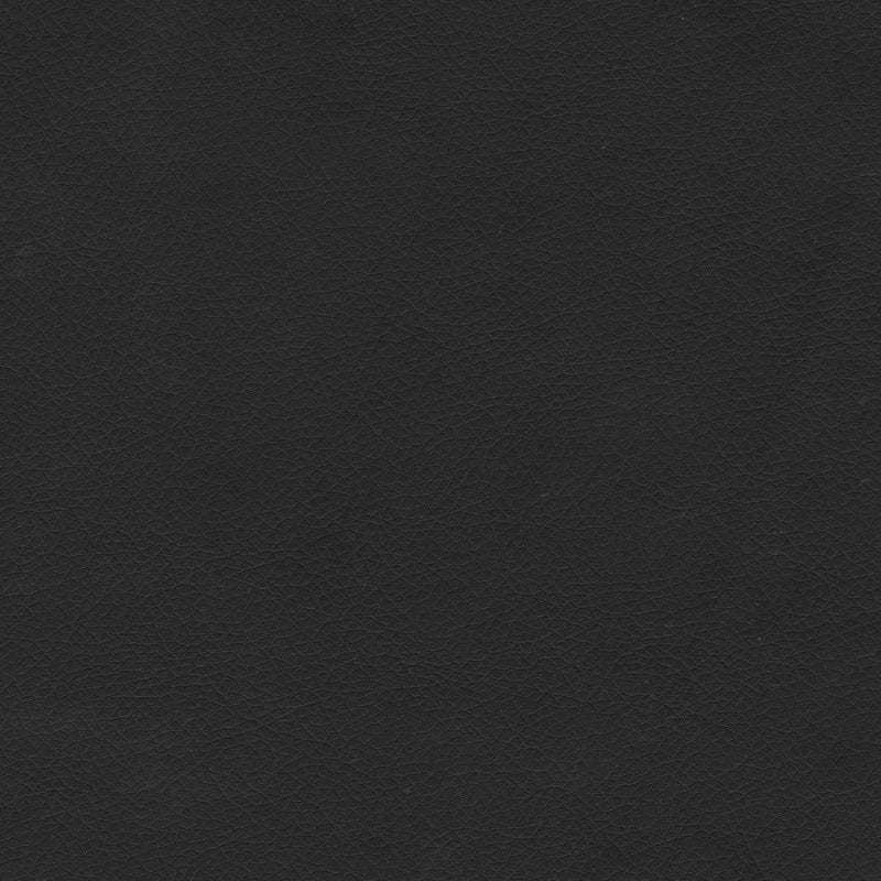 Magnus Dining Chair (Set of 2) Black