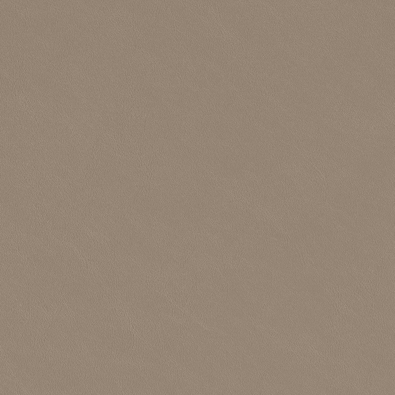 Ruge Dining Chair (Set of 2) Beige