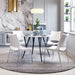 Ace Dining Chair (Set of 2) White & Silver