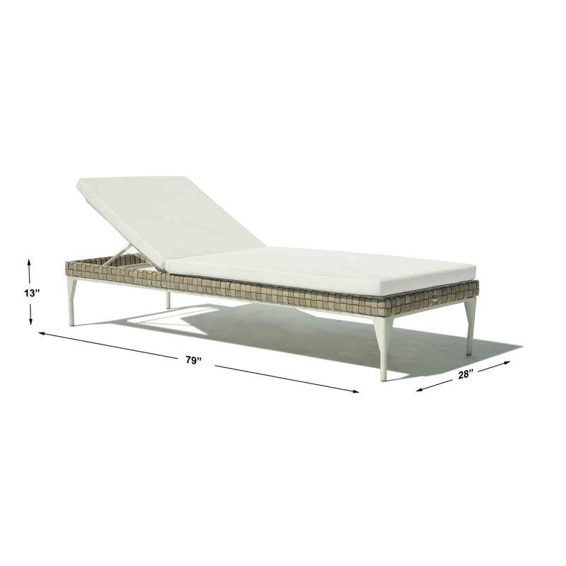 Brafta Chaise Lounger with Sunbrella Cushion