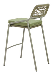 Rio Barstool (Set of 2) Green