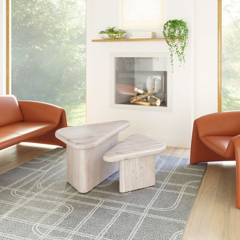 Navidic Coffee Table Set (2-Piece) Whitewashed