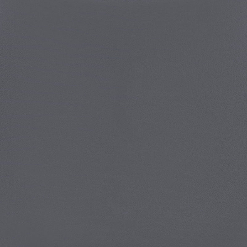 Magnus Barstool (Set of 2) Dark Gray & Black