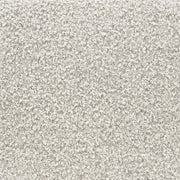 Raha Dining Chair (Set of 2) Gray & Whitewashed