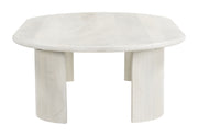 Risan Coffee Table Whitewashed