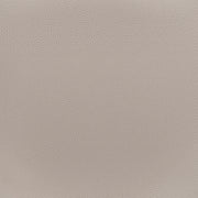 Desi Dining Chair (Set of 2) Beige & Gold