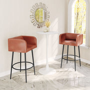 Horbat Barstool (Set of 2) Brown
