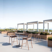 Rio Barstool (Set of 2) Brown