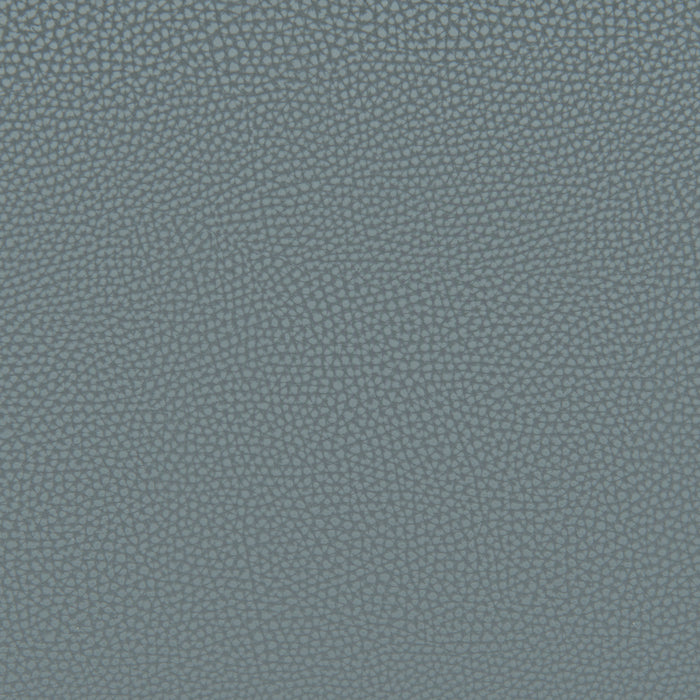 Desi Armless Dining Chair (Set of 2) Azure Gray