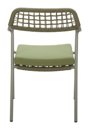Rio Dining Chair (Set of 2) Green