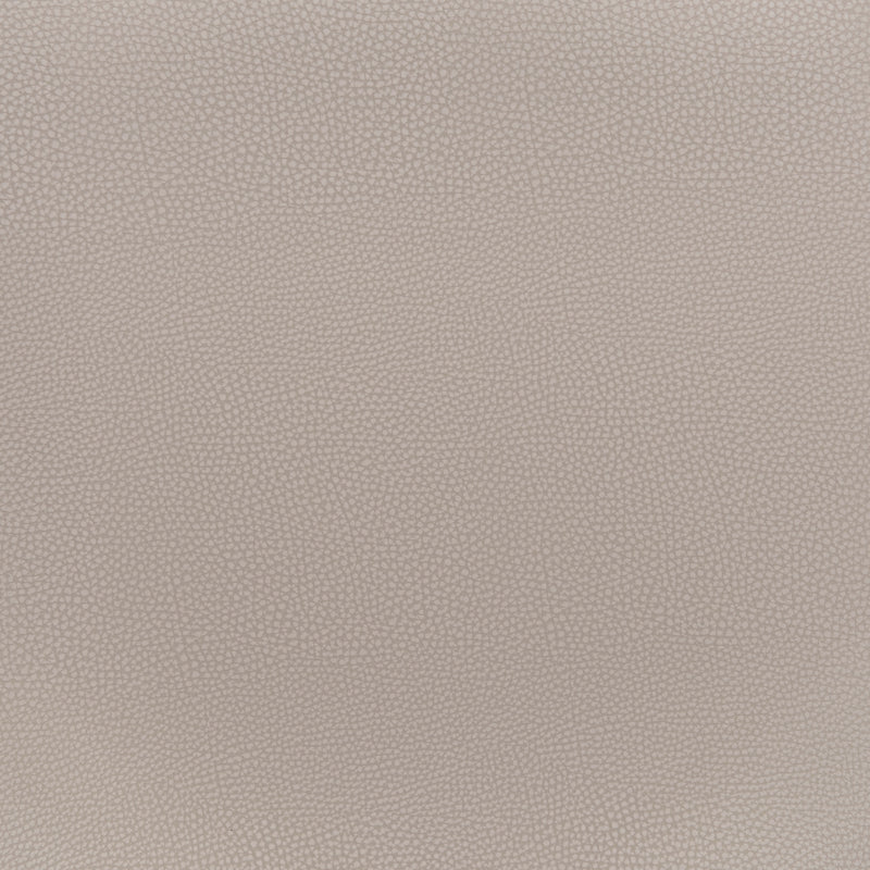 Desi Barstool (Set of 2) Beige & Gold