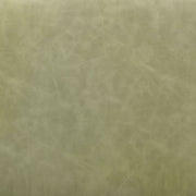 Charon Dining Chair (Set of 2) Green