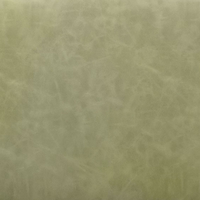 Charon Dining Chair (Set of 2) Green