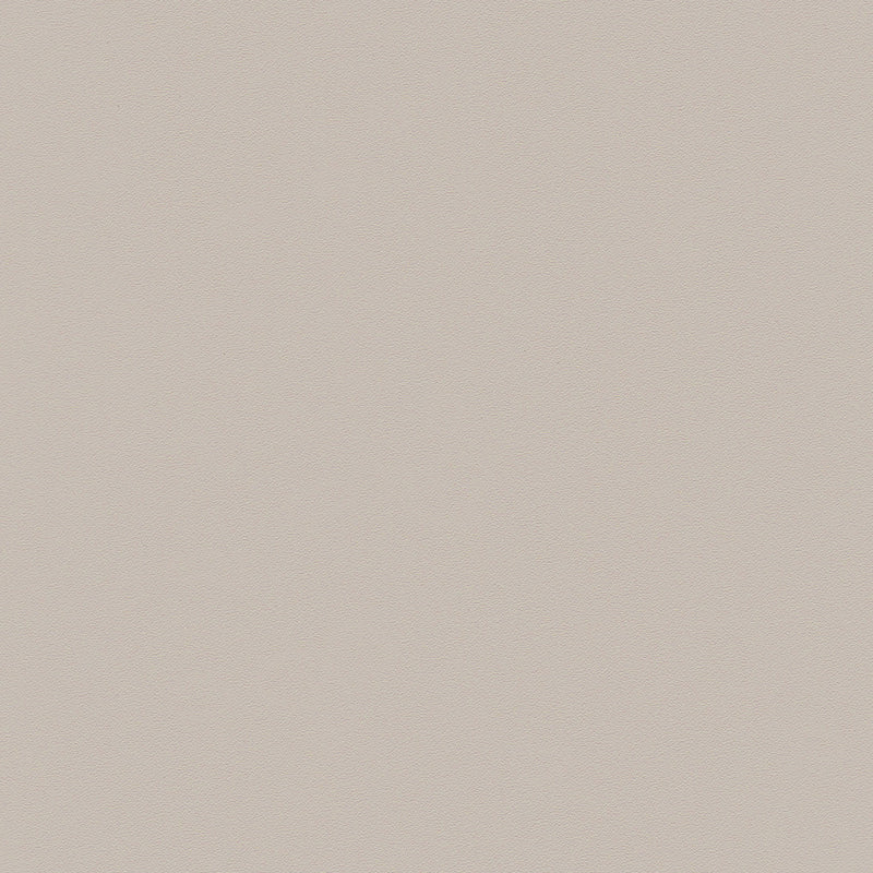 Zeal Counter Stool (Set of 4) Light Gray