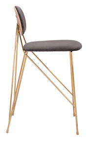 Georges Counter Stool (Set of 2) Gray & Gold