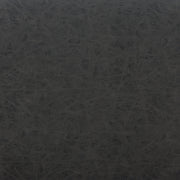 Charon Dining Chair (Set of 2) Vintage Black