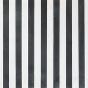 Zebra Shelf Multicolor