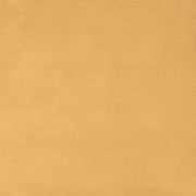 Tammy Dining Chair (Set of 2) Yellow