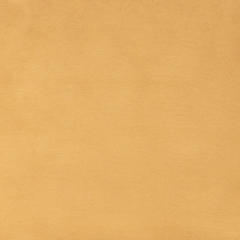 Tammy Dining Chair (Set of 2) Yellow