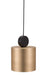 Myson Ceiling Lamp Gold & Black