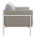 Frais Loveseat Gray